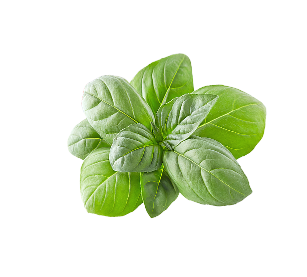 about_leef1