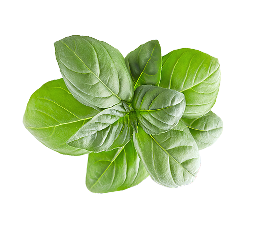 loop_leaf1